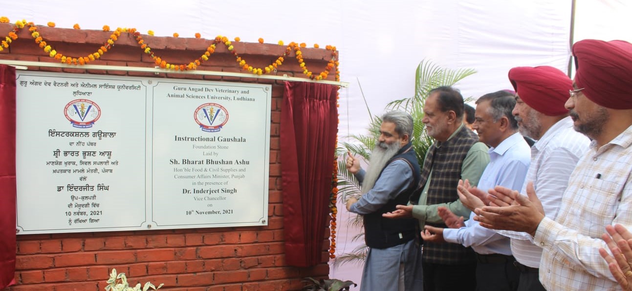 Read more about the article गडवासू में 1.07 करोड़ में आठ महीने में बनेगी भारत की पहली शिक्षण गौशाला, मंत्री आशू ने रखी आधारशिला 